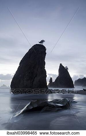 "Rialto Beach in Olympic National Park, La Push, Washington, United States, North America" View Large Photo Image Stock Photography - "Rialto Beach in Olympic National Park, La Push, Washington, United States, North America". Fotosearch