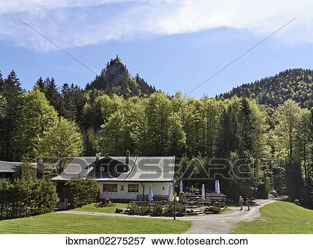 "Riederstein mountain, Riedersteinalm alp, Tegernsee valley, Mangfall Mountains, Upper Bavaria, Bavaria, Germany, Europe" View Large Photo Image Stock Photo - "Riederstein mountain, Riedersteinalm alp, Tegernsee valley, Mangfall Mountains, Upper Bavaria, Bavaria, Germany, Europe". Fotosearch