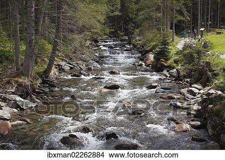Picture - "Riesachbach creek, Soelktaeler Nature Park, Schladming Tauern mountains, Upper Styria, Styria, Austria, Europe". Fotosearch