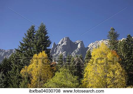 "Rila mountains, forest in autumn colours, Rila, Bulgaria, Europe" View Large Photo Image Stock Photo - "Rila mountains, forest in autumn colours, Rila, Bulgaria, Europe". Fotosearch