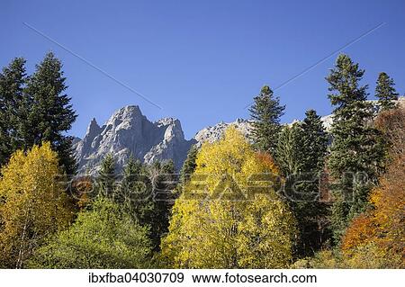 "Rila mountains, forest in autumn colours, Rila, Bulgaria, Europe" View Large Photo Image Stock Photo - "Rila mountains, forest in autumn colours, Rila, Bulgaria, Europe". Fotosearch
