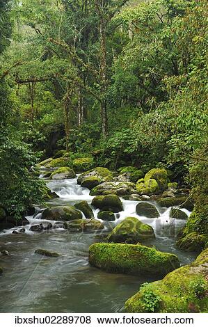 "Rio Savegre, San Gerardo de Dota Costa Rica, Central America" View Large Photo Image Stock Photo - "Rio Savegre, San Gerardo de Dota Costa Rica, Central America". Fotosearch