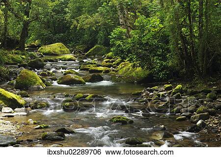 "Rio Savegre, San Gerardo de Dota Costa Rica, Central America" View Large Photo Image Stock Photograph - "Rio Savegre, San Gerardo de Dota Costa Rica, Central America". Fotosearch