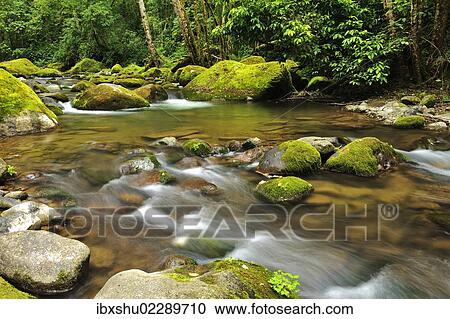 "Rio Savegre, San Gerardo de Dota, Costa Rica, Central America, North America" View Large Photo Image Stock Image - "Rio Savegre, San Gerardo de Dota, Costa Rica, Central America, North America". Fotosearch
