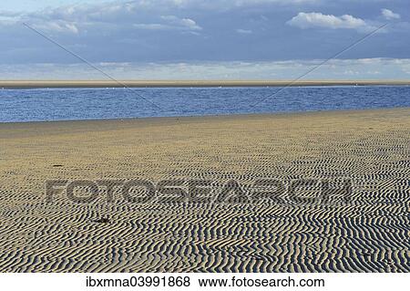 "Ripple patterns in front of a tidal creek on the western beach of Spiekeroog, East Frisia, Lower Saxony, Germany, Europe" View Large Photo Image Stock Photo - "Ripple patterns in front of a tidal creek on the western beach of Spiekeroog, East Frisia, Lower Saxony, Germany, Europe". Fotosearch