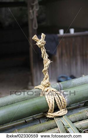"Ritual artistic knot on bamboo stems at a Shinto shrine in Iwakura, near Kyoto, Japan, East Asia, Asia" View Large Photo Image Stock Photo - "Ritual artistic knot on bamboo stems at a Shinto shrine in Iwakura, near Kyoto, Japan, East Asia, Asia". Fotosearch