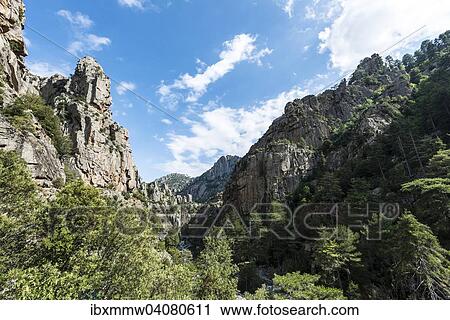 "River bed and valley, Tavignano river, Corte, Haute-Corse, Corsica, France, Europe" View Large Photo Image Stock Image - "River bed and valley, Tavignano river, Corte, Haute-Corse, Corsica, France, Europe". Fotosearch