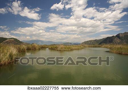 "River Dalyan, Turkey, Western Asia, Asia" View Large Photo Image Stock Photography - "River Dalyan, Turkey, Western Asia, Asia". Fotosearch