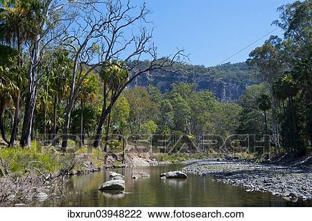 "River flowing through the Carnarvon National Park, Queensland, Australia, Oceania" View Large Photo Image Stock Image - "River flowing through the Carnarvon National Park, Queensland, Australia, Oceania". Fotosearch