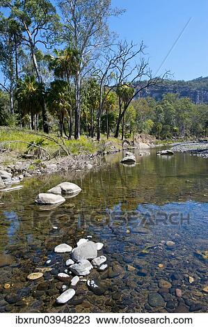 "River flowing through the Carnarvon National Park, Queensland, Australia, Oceania" View Large Photo Image Stock Image - "River flowing through the Carnarvon National Park, Queensland, Australia, Oceania". Fotosearch