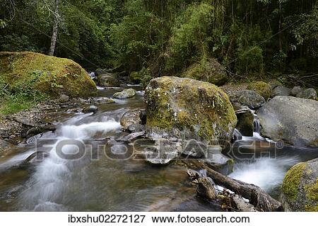 Stock Photo - "River head of the Rio Savegre river, San Gerardo de Dota, Costa Rica, Central America, North America". Fotosearch