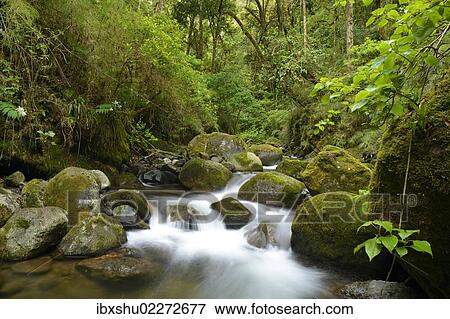 Stock Photo - "River head of the Rio Savegre river, San Gerardo de Dota, Costa Rica, Central America, North America". Fotosearch