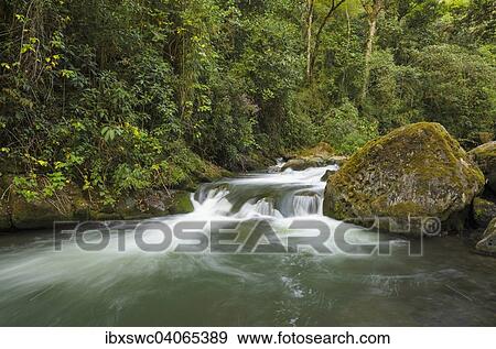 "River in mountain forest, rocks, Rio Savegre, Los Quetzales National Park, San Gerardo de Dota, San Jose Province, Costa Rica, North America" View Large Photo Image Stock Photo - "River in mountain forest, rocks, Rio Savegre, Los Quetzales National Park, San Gerardo de Dota, San Jose Province, Costa Rica, North America". Fotosearch