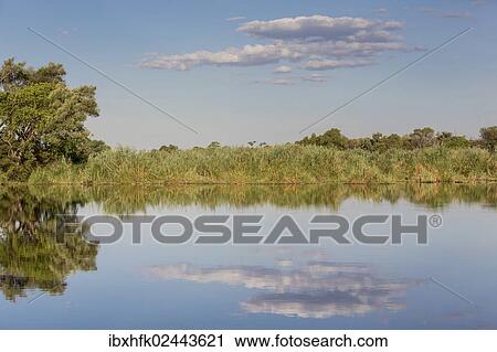Stock Image - "River landscape in Mamili National Park, Caprivi Strip, Namibia, Africa". Fotosearch