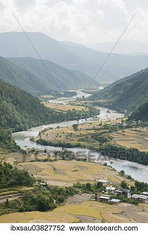 "River landscape, river meandering through a valley, near Punakha, the Himalayas, Bhutan, Asia" View Large Photo Image Stock Image - "River landscape, river meandering through a valley, near Punakha, the Himalayas, Bhutan, Asia". Fotosearch