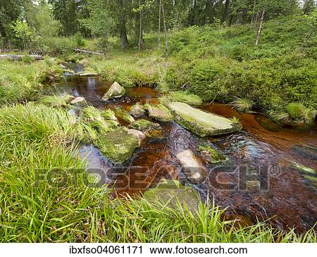 "River Oder, Harz National Park, Germany, Europe" View Large Photo Image Stock Image - "River Oder, Harz National Park, Germany, Europe". Fotosearch