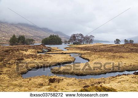 "River Ossian, Corrour, Highlands, Scotland, United Kingdom, Europe" View Large Photo Image Stock Image - "River Ossian, Corrour, Highlands, Scotland, United Kingdom, Europe". Fotosearch