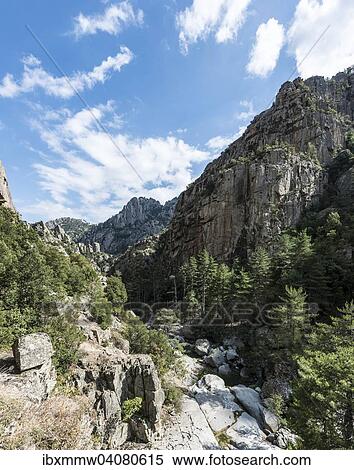Stock Photography - "Riverbed of the Tavignano, Corte, Haute-Corse, Corsica, France, Europe". Fotosearch