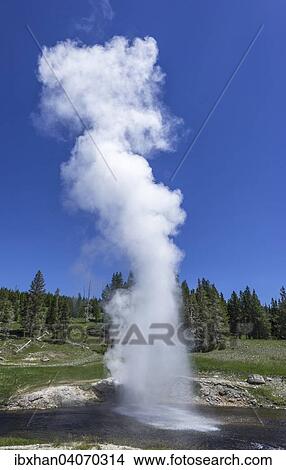 "Riverside Geyser, Yellowstone National Park, Wyoming, United States, North America" View Large Photo Image Picture - "Riverside Geyser, Yellowstone National Park, Wyoming, United States, North America". Fotosearch