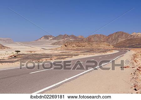 "Road in the Sinai desert, Egypt, Africa" View Large Photo Image Stock Image - "Road in the Sinai desert, Egypt, Africa". Fotosearch