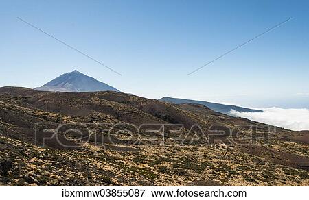 "Road leading through a volcanic landscape with Pico del Teide, 3718m, Parque Nacional de las Canadas del Teide, Teide National Park, UNESCO World Heritage Site, Tenerife, Canary Islands, Spain, Europe" View Large Photo Image Stock Photo - "Road leading through a volcanic landscape with Pico del Teide, 3718m, Parque Nacional de las Canadas del Teide, Teide National Park, UNESCO World Heritage Site, Tenerife, Canary Islands, Spain, Europe". Fotosearch
