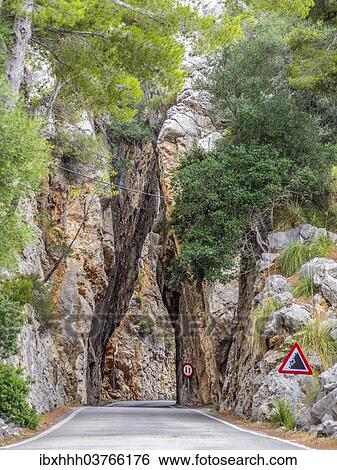 "Road narrowed as it passes through a rocky gorge, Sa Calobra, Serra de Tramuntana, Majorca, Balearic Islands, Spain, Europe" View Large Photo Image Stock Photograph - "Road narrowed as it passes through a rocky gorge, Sa Calobra, Serra de Tramuntana, Majorca, Balearic Islands, Spain, Europe". Fotosearch