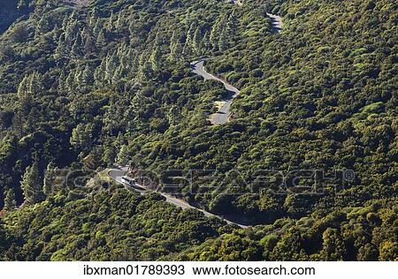 "Road through a forest, Garajonay National Park, view from Garajonay mountain, La Gomera island, Canary Islands, Spain, Europe" View Large Photo Image Stock Image - "Road through a forest, Garajonay National Park, view from Garajonay mountain, La Gomera island, Canary Islands, Spain, Europe". Fotosearch