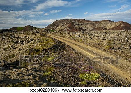 "Road through the Berserkjahraun lava field, Snaefellsnes peninsula, Snaefellsnes, Iceland, Europe" View Large Photo Image Stock Photo - "Road through the Berserkjahraun lava field, Snaefellsnes peninsula, Snaefellsnes, Iceland, Europe". Fotosearch