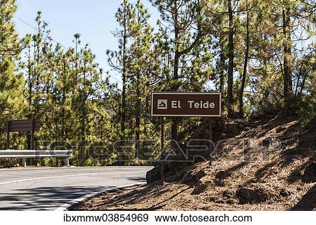 "Road to Pico del Teide, pine forest, Parque Nacional de las Canadas del Teide, Teide National Park, UNESCO World Heritage Site, Tenerife, Canary Islands, Spain, Europe" View Large Photo Image Stock Photo - "Road to Pico del Teide, pine forest, Parque Nacional de las Canadas del Teide, Teide National Park, UNESCO World Heritage Site, Tenerife, Canary Islands, Spain, Europe". Fotosearch