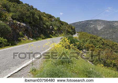 "Road to Termessos, Taurus Mountains, Termessos, Antalya Province, Turkey, Asia" View Large Photo Image Stock Image - "Road to Termessos, Taurus Mountains, Termessos, Antalya Province, Turkey, Asia". Fotosearch