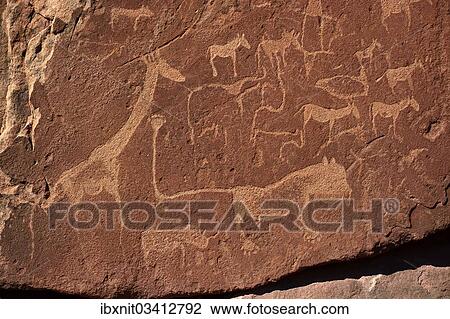 "Rock carvings of the San people, Damaraland, Kunene Region, Namibia, Africa" View Large Photo Image Stock Image - "Rock carvings of the San people, Damaraland, Kunene Region, Namibia, Africa". Fotosearch