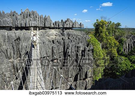 "Rock climber, woman crossing a hanging bridge, Tsingy de Bemaraha National Park, Bekopaka, Majunga province, Madagascar, Africa" View Large Photo Image Stock Image - "Rock climber, woman crossing a hanging bridge, Tsingy de Bemaraha National Park, Bekopaka, Majunga province, Madagascar, Africa". Fotosearch