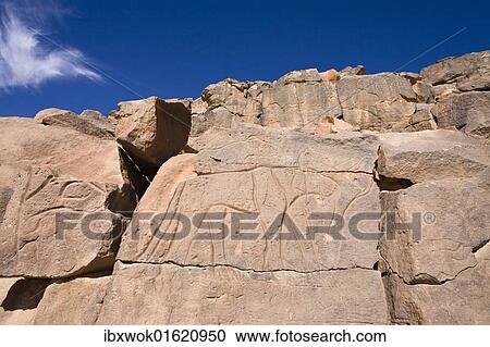 "Rock engravings in the Wadi Mathendous, giraffe, Wadi Barjuj, stone desert, Libya, Sahara, North Africa, Africa" View Large Photo Image Stock Image - "Rock engravings in the Wadi Mathendous, giraffe, Wadi Barjuj, stone desert, Libya, Sahara, North Africa, Africa". Fotosearch