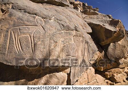 "Rock engravings in the Wadi Mathendous, giraffe, Wadi Barjuj, stone desert, Libya, Sahara, North Africa, Africa" View Large Photo Image Stock Photo - "Rock engravings in the Wadi Mathendous, giraffe, Wadi Barjuj, stone desert, Libya, Sahara, North Africa, Africa". Fotosearch