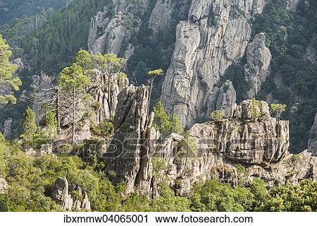 Stock Image - "Rock formation, mountain scenery, L'Ospedale, Alta Rocca, Corsica, France, Europe". Fotosearch