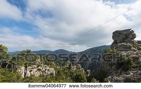 "Rock formation, mountain scenery, L'Ospedale, Alta Rocca, Corsica, France, Europe" View Large Photo Image Stock Photo - "Rock formation, mountain scenery, L'Ospedale, Alta Rocca, Corsica, France, Europe". Fotosearch