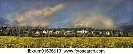 Stock Image - "Rock formation twelve apostles with a dandelion meadow, Altmuehltal nature park, near Solnhofen, Bavaria, Germany, Europe". Fotosearch