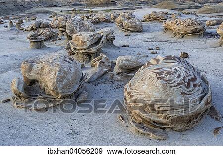 "Rock formations in the Bisti Wilderness, Farmington, New Mexico, United States, North America" View Large Photo Image Stock Photo - "Rock formations in the Bisti Wilderness, Farmington, New Mexico, United States, North America". Fotosearch
