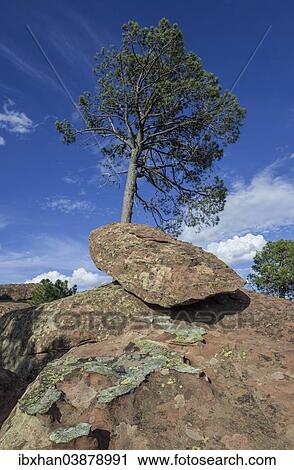 "Rock formations in the Pinares de Rodeno Nature Reserve, Albarracin, Aragon, Spain, Europe" View Large Photo Image Stock Image - "Rock formations in the Pinares de Rodeno Nature Reserve, Albarracin, Aragon, Spain, Europe". Fotosearch