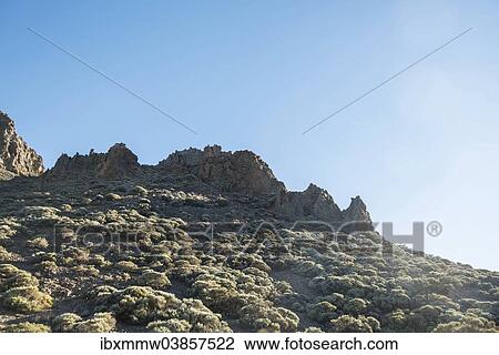 "Rock formations, Llano de Uruanca plateau, Parque Nacional de las Canadas del Teide, Teide National Park, UNESCO World Heritage Site, Tenerife, Canary Islands, Spain, Europe" View Large Photo Image Stock Image - "Rock formations, Llano de Uruanca plateau, Parque Nacional de las Canadas del Teide, Teide National Park, UNESCO World Heritage Site, Tenerife, Canary Islands, Spain, Europe". Fotosearch
