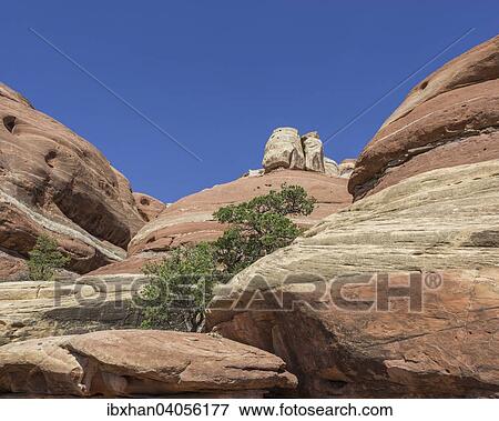 "Rock formations, Needles, Monticello, Utah, United States, North America" View Large Photo Image Stock Photo - "Rock formations, Needles, Monticello, Utah, United States, North America". Fotosearch