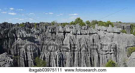 "Rock formations, Tsingy de Bemaraha National Park, Bekopaka, Majunga province, Madagascar, Africa" View Large Photo Image Stock Image - "Rock formations, Tsingy de Bemaraha National Park, Bekopaka, Majunga province, Madagascar, Africa". Fotosearch