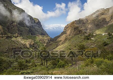 Picture - "Rock formations, volcanic rocks, Masca Gorge, Barranco de Masca, Tenerife, Canary Islands, Spain, Europe". Fotosearch