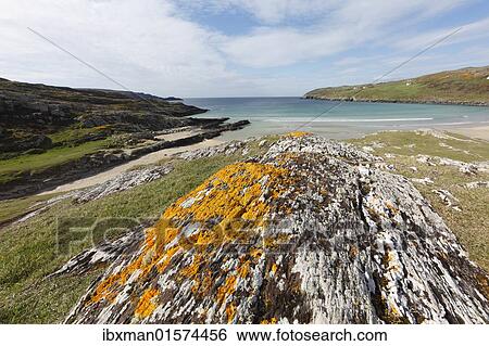 Stock Photograph - "Rock with lichens, Barleycove, Mizen Head Peninsula, West Cork, Republic of Ireland, British Isles, Europe". Fotosearch