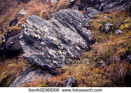 Stock Photograph - "Rocks and vegetation on Grossglockner Mountain, Austria, Europe". Fotosearch