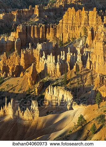 "Rocks at Sunrise Point in the morning light, Bryce Canyon National Park, Bryce, Utah, United States, North America" View Large Photo Image Stock Image - "Rocks at Sunrise Point in the morning light, Bryce Canyon National Park, Bryce, Utah, United States, North America". Fotosearch