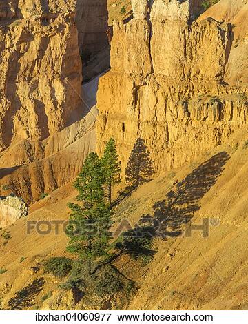 "Rocks at Sunrise Point in the morning light, Bryce Canyon National Park, Bryce, Utah, United States, North America" View Large Photo Image Stock Photo - "Rocks at Sunrise Point in the morning light, Bryce Canyon National Park, Bryce, Utah, United States, North America". Fotosearch