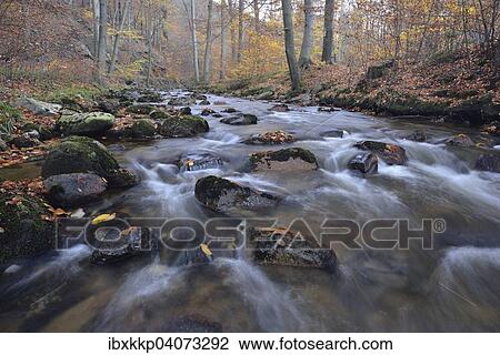 "Rocks covered with foliage in the Ilse river, mountain stream, Ilse Valley in autumn, near Ilsenburg, Saxony-Anhalt, Germany, Europe" View Large Photo Image Stock Image - "Rocks covered with foliage in the Ilse river, mountain stream, Ilse Valley in autumn, near Ilsenburg, Saxony-Anhalt, Germany, Europe". Fotosearch