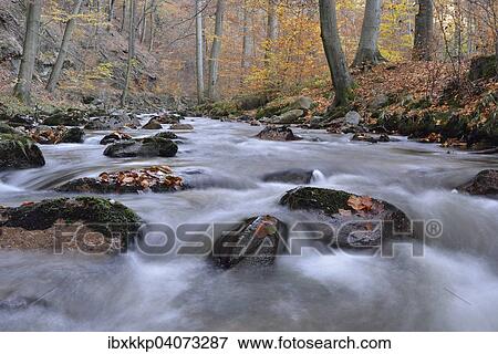 "Rocks covered with foliage in the Ilse river, mountain stream, Ilse Valley in autumn, near Ilsenburg, Saxony-Anhalt, Germany, Europe" View Large Photo Image Stock Photo - "Rocks covered with foliage in the Ilse river, mountain stream, Ilse Valley in autumn, near Ilsenburg, Saxony-Anhalt, Germany, Europe". Fotosearch