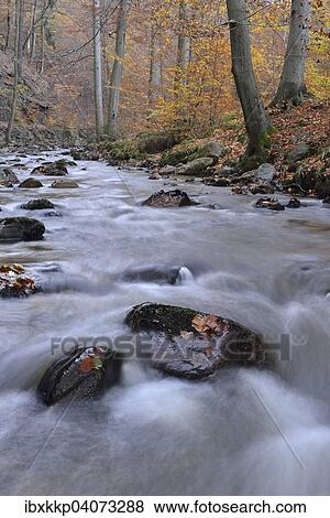 "Rocks covered with foliage in the Ilse river, mountain stream, Ilse Valley in autumn, near Ilsenburg, Saxony-Anhalt, Germany, Europe" View Large Photo Image Stock Photo - "Rocks covered with foliage in the Ilse river, mountain stream, Ilse Valley in autumn, near Ilsenburg, Saxony-Anhalt, Germany, Europe". Fotosearch